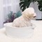 ABenkle Cute Small Woven Basket with Handles, 12"x 8" x 5" Rope Room Shelf Storage Basket Chest Box for Cat and Dog Toys, Empty Decorative Gift - White
